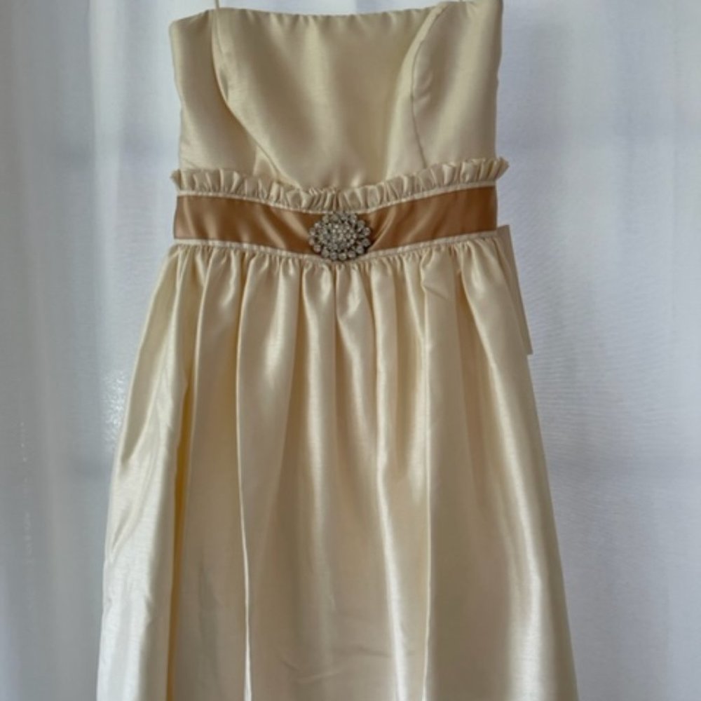 NWT The Limited Strapless cream party dress size 6
